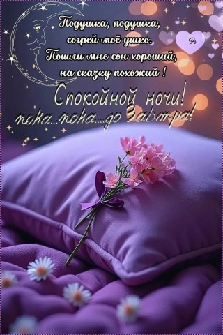 спокойной ночи