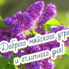 доброе утро мая, с добрым майским утром