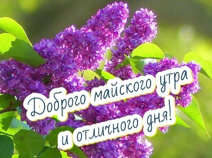 доброе утро мая, с добрым майским утром