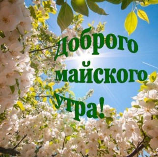 доброе утро мая, с добрым майским утром