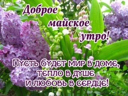 доброе утро мая, с добрым майским утром