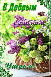 доброе утро мая, с добрым майским утром