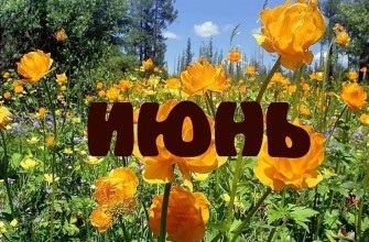 июнь