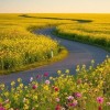 лето дорога цветы природа