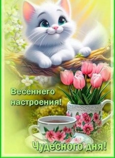 с добрым весенним утром