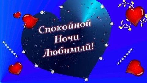 спокойной ночи любимый