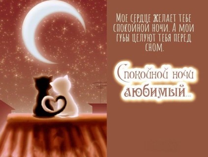 спокойной ночи любимый