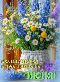 июнь букет ромашки