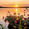 природа лето закат цветы река