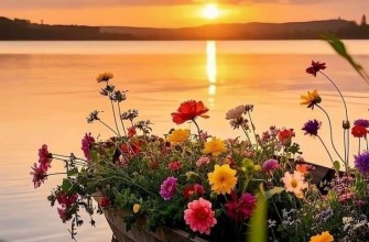природа лето закат цветы река