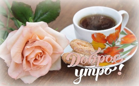 С добрым утром девушке женщине девочке