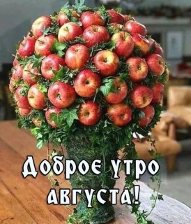 доброе утро августа, с Добрым утром августа