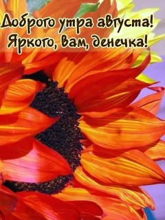 доброе утро августа, с Добрым утром августа