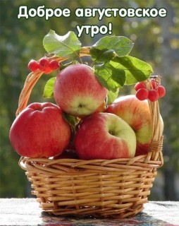 доброе утро августа, с Добрым утром августа