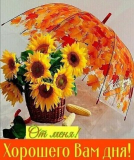 доброе утро осень сентябрь