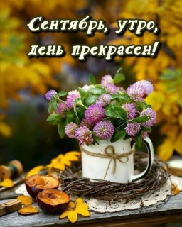 доброе утро сентября, с добрым сентябрьским утром