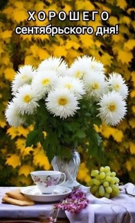доброе утро сентября 