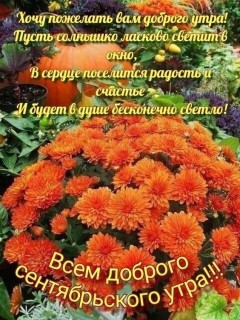 доброе утро сентября, с добрым сентябрьским утром