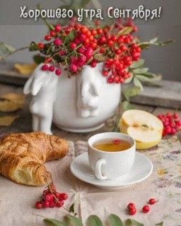 доброе утро сентября, с добрым сентябрьским утром