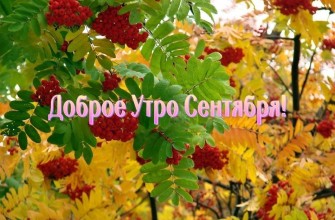 доброе утро сентября, с добрым сентябрьским утром