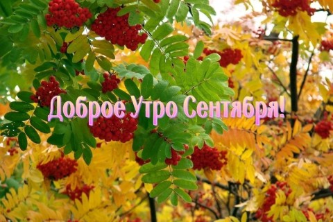 доброе утро сентября, с добрым сентябрьским утром