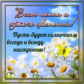 отличного настроения 