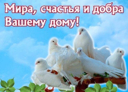 пожелания добра мира счастья