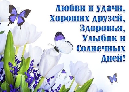 Добрые пожелания добра, счастья, здоровья и успехов