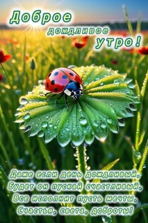 с добрым дождливым утром