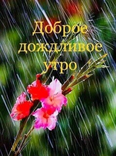 с добрым дождливым утром