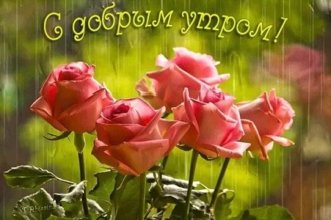 с добрым дождливым утром