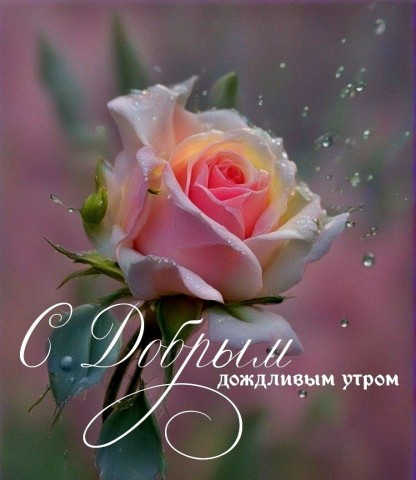 с добрым дождливым утром