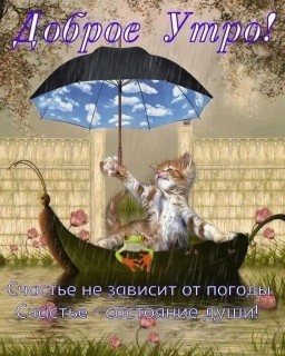 с добрым дождливым утром