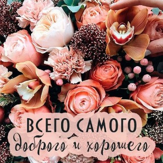 всего хорошего