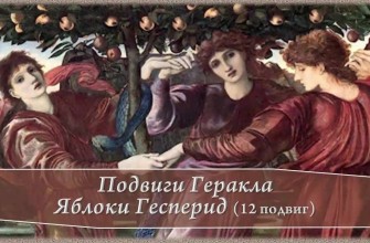 яблоки Гесперид