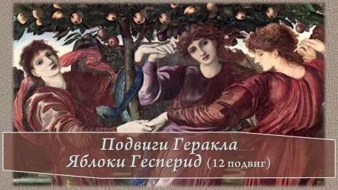 яблоки Гесперид