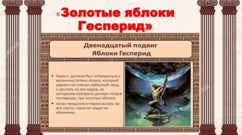 яблоки Гесперид