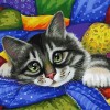 котёнок