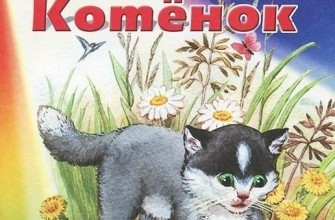 рассказ котенок
