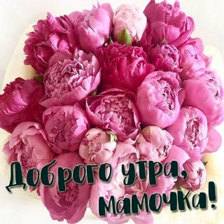 с добрым утром мама, доброе утро мама