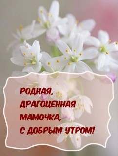 с добрым утром мама, доброе утро мама