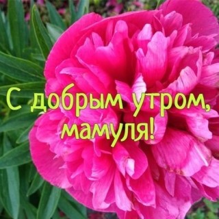 с добрым утром мама, доброе утро мама