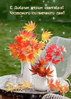 с добрым утром сентября