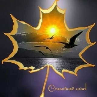 Спокойной осенней ночи