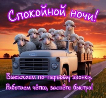 спокойной ночи прикольные