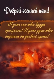 Спокойной осенней ночи