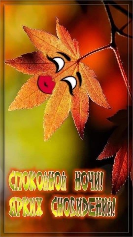 Спокойной осенней ночи