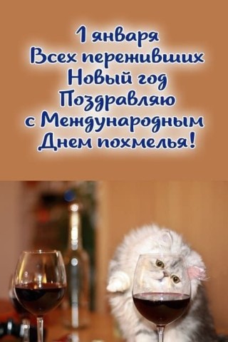 день похмелья