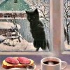 кошка за окном