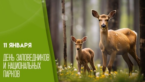 День заповедников и национальных парков